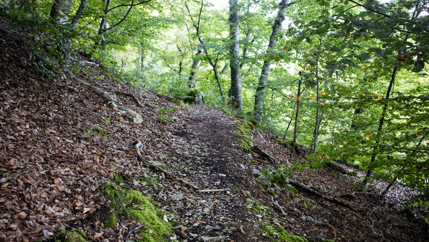 Wanderroute beim Traumfels