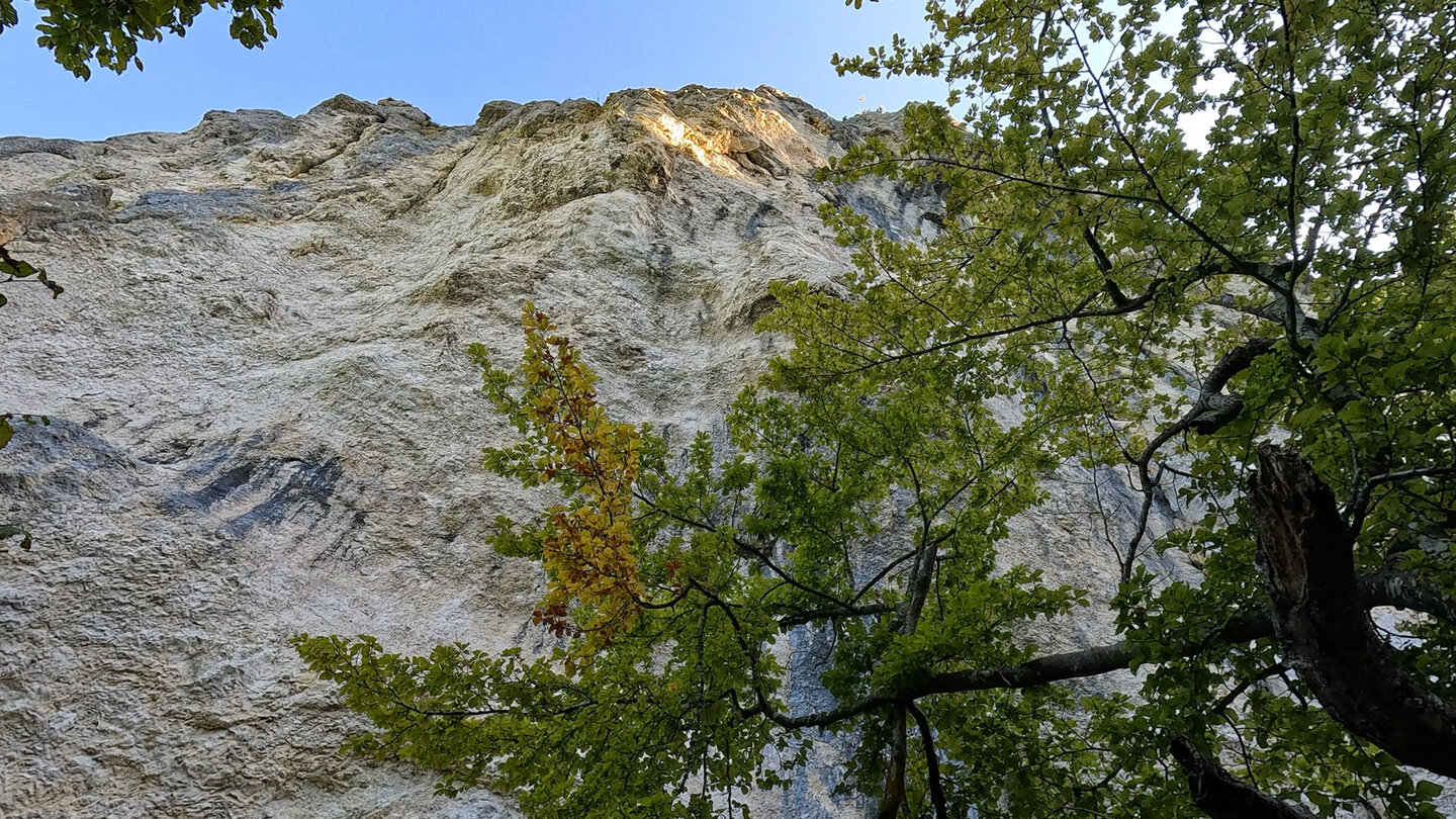 Muschelkalkfelsen »Hölle«