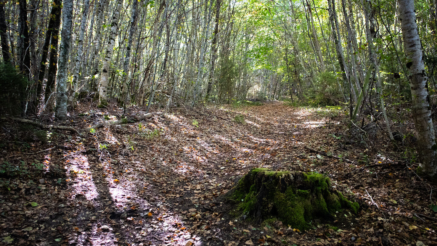 Weg zur Stettener Schutzhütte
