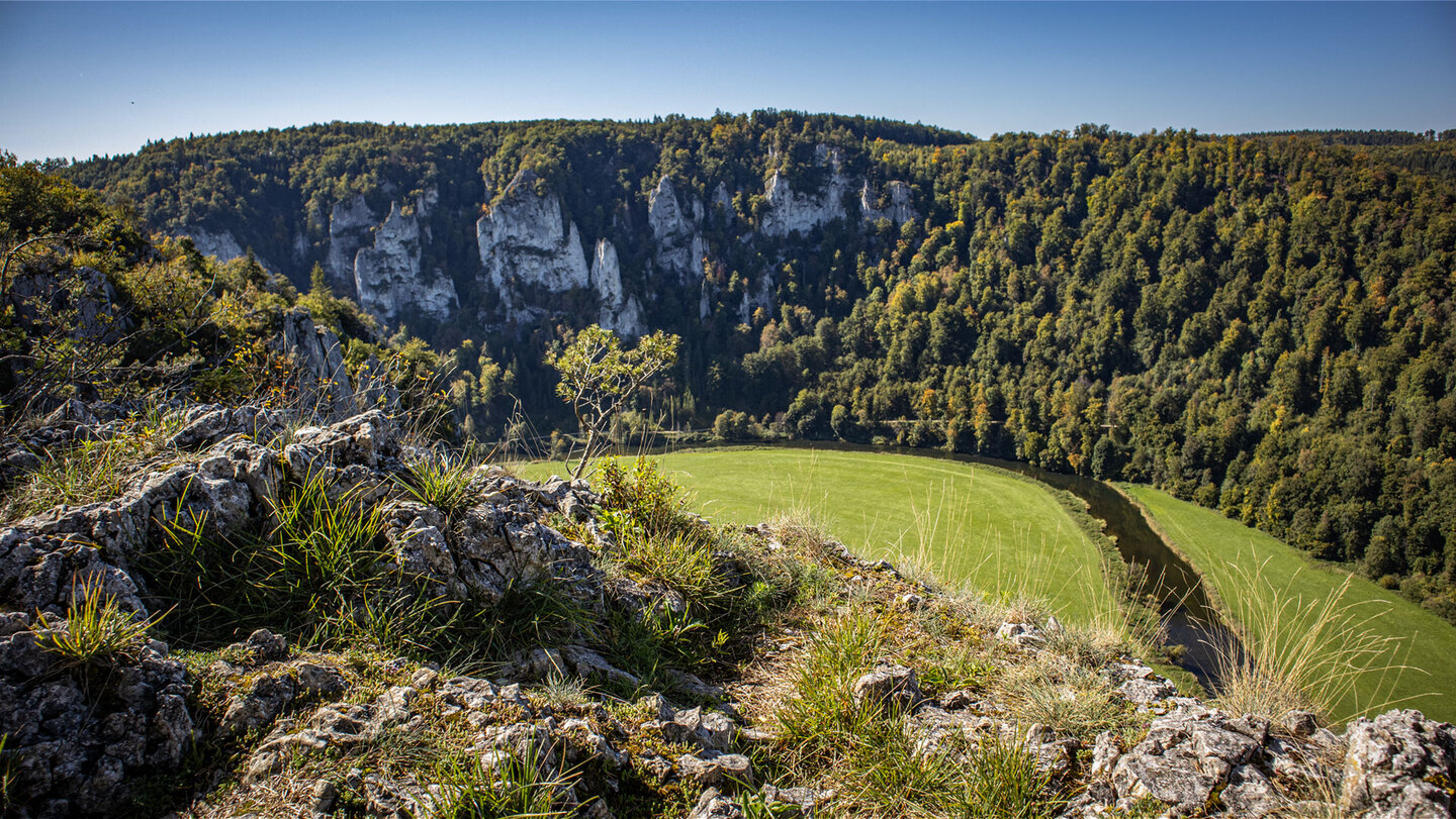 Donauschleife vor den Lenzenfelsen