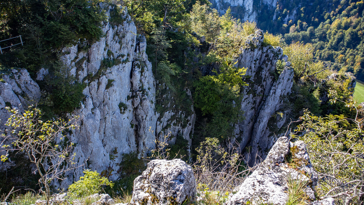 Klippen der Schaufelsen im Oberen Donautal