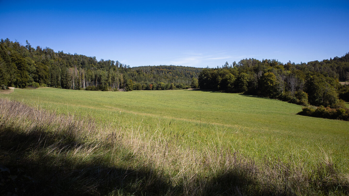Wiesental
