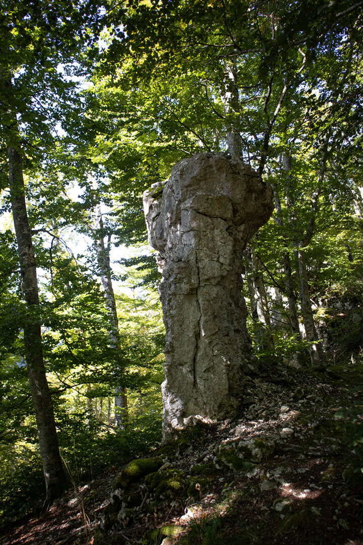Muschelkalkfelsen im Buchewald