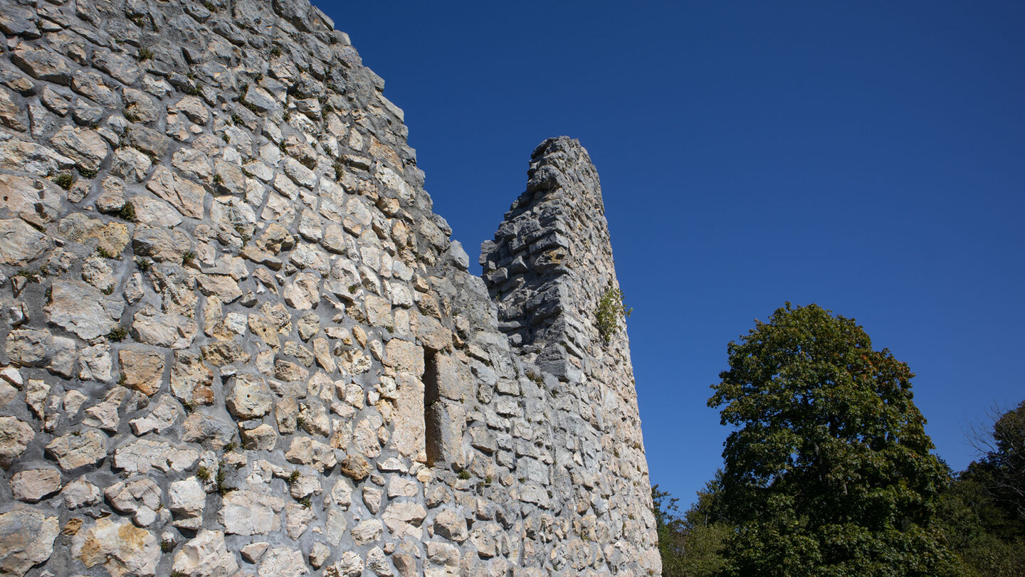 Mauerreste der Ruine Falkenstein