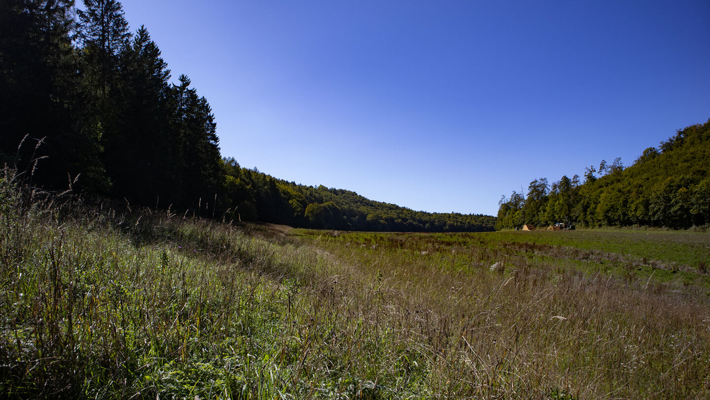 Wiesental beim Buttenloch