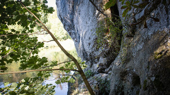 Amalienfelsen im Fürstlichen Park Inzigkofen