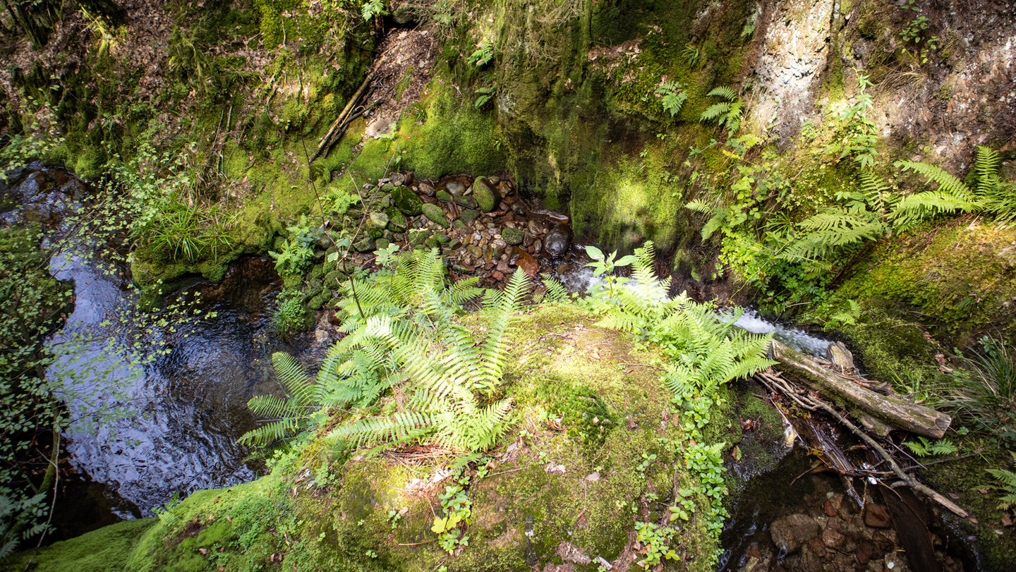 der Gottschlägbach gräbt weiter die tiefe Schlucht beim Edelfrauengrab