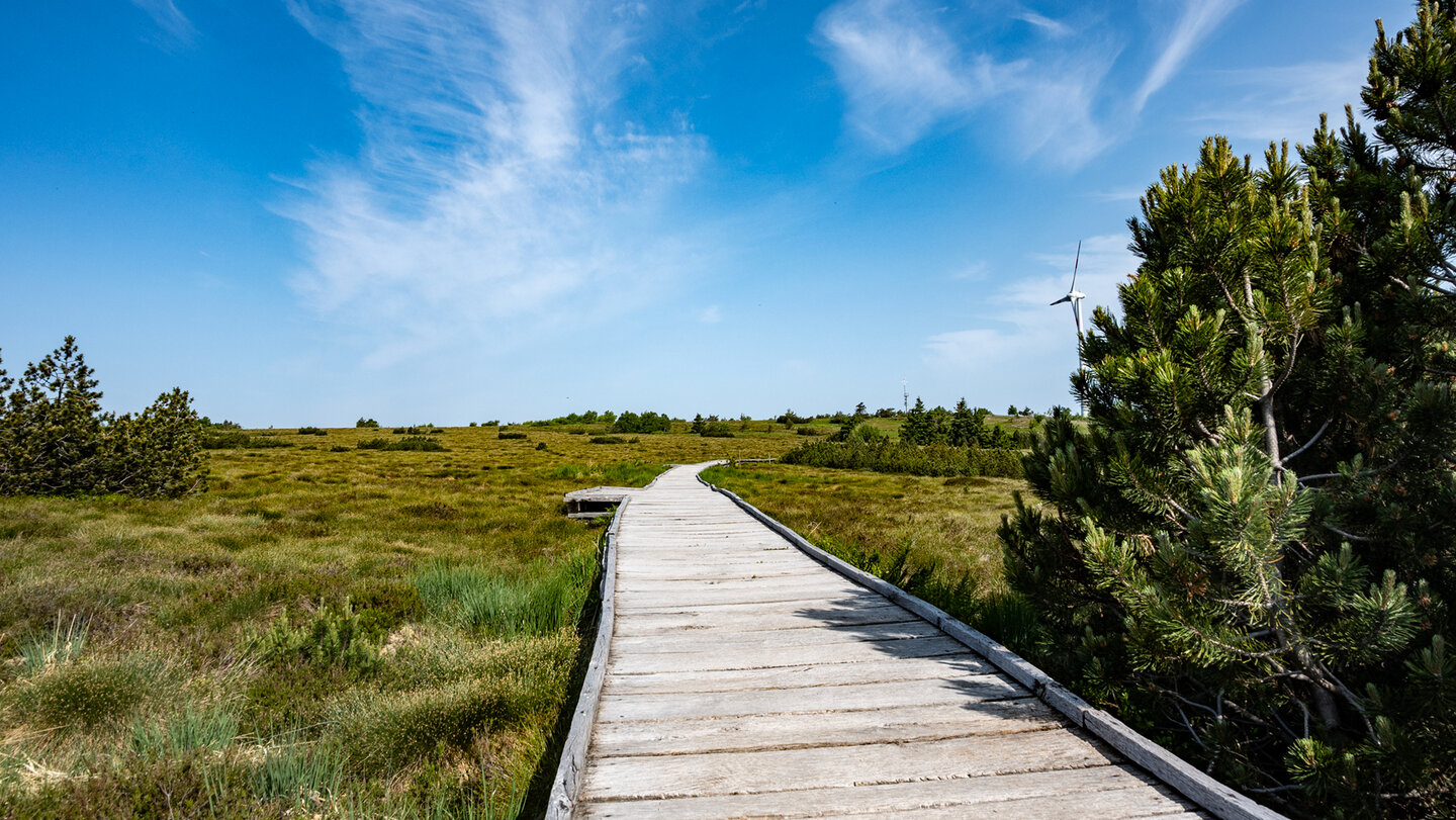 über das Hochmoor der Hornisgrinde führt ein Holzbohlenweg zum Schutz der Natur