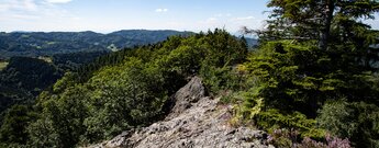der Karlsruher Grat bietet immer wieder Panoramaausblicke die zum Rasten einladen