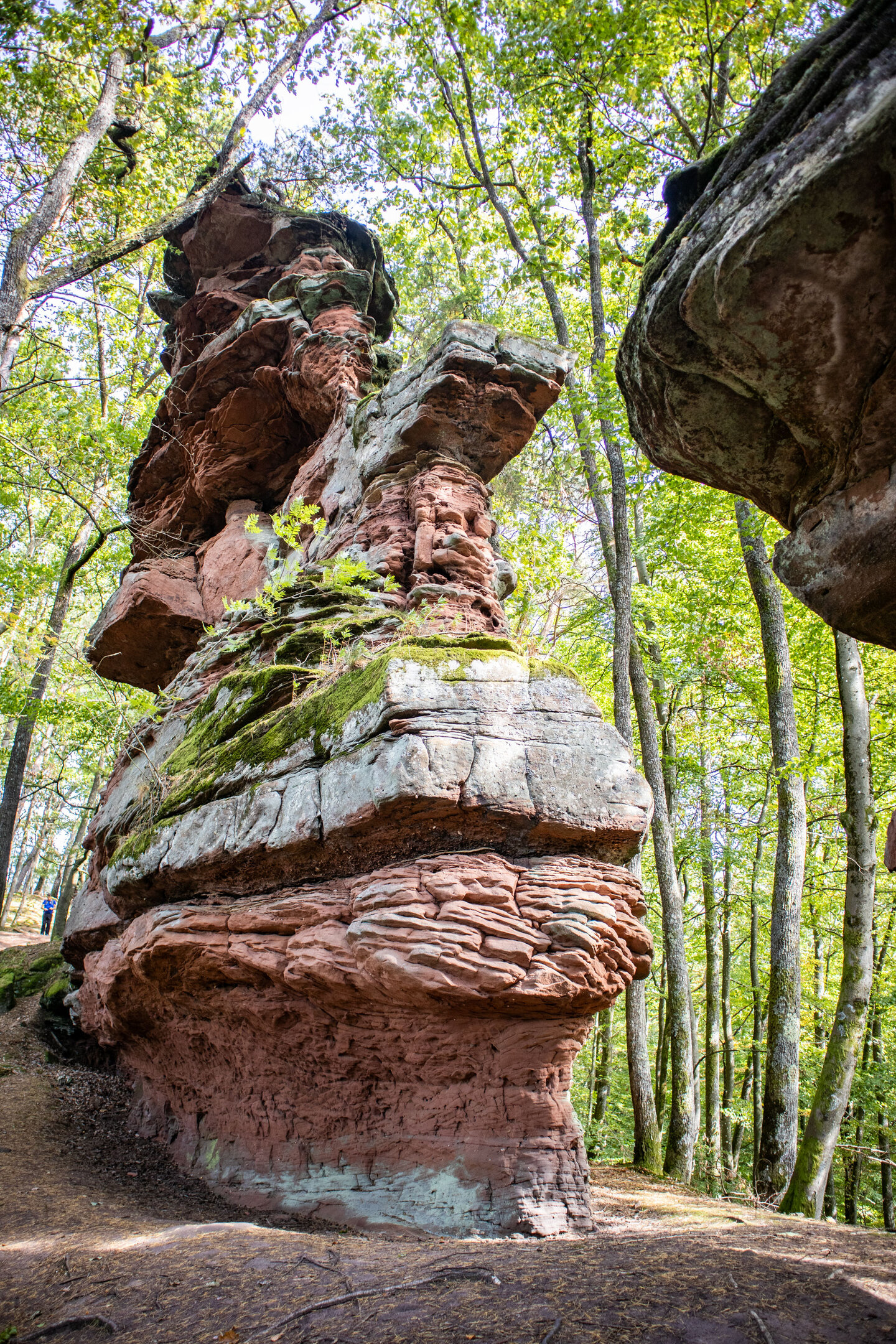 der Lochfelsen