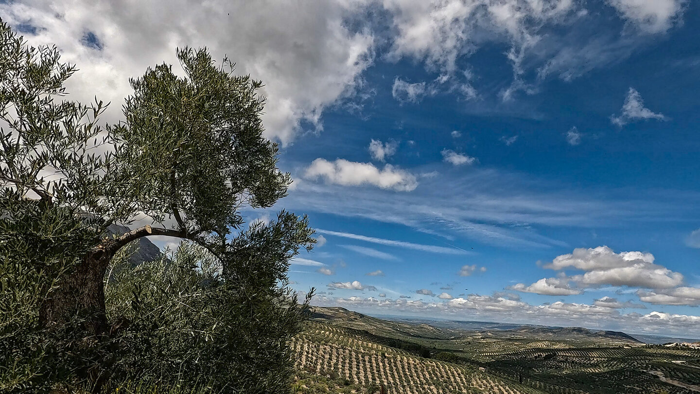 Wanderung durch Olivenanbauflächen in der SIerra Mágina
