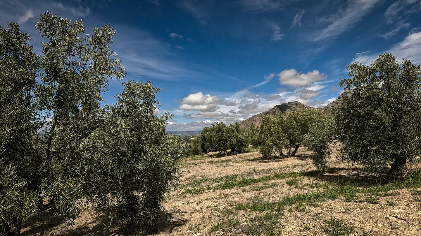 Wanderroute durch Kulturlandschaft in der SIerra Mágina