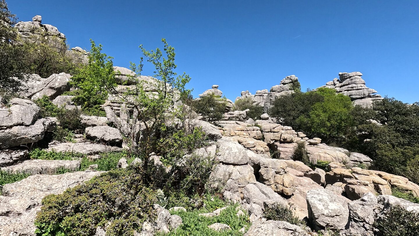 Felsfiguren im Karstgebirge des Torcal de Antequera Felsfiguren im Karstgebirge des Torcal de Antequera