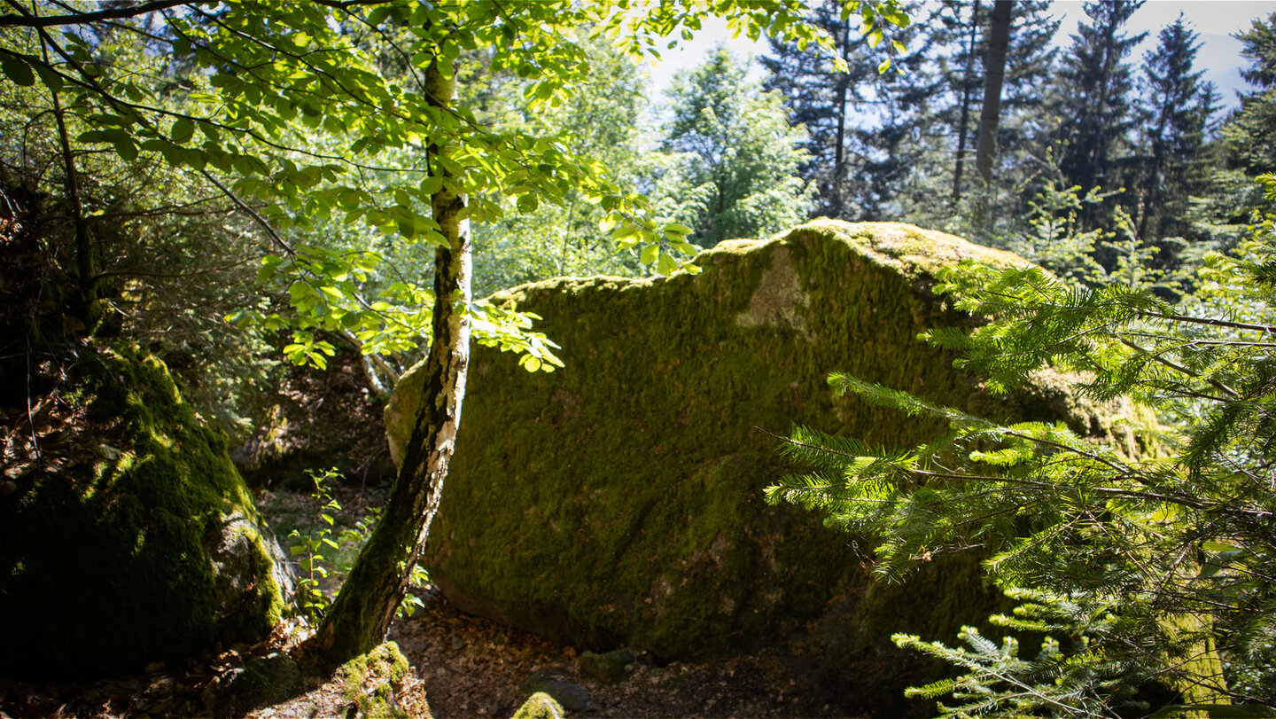 Felsenweg am Katzenschrofen