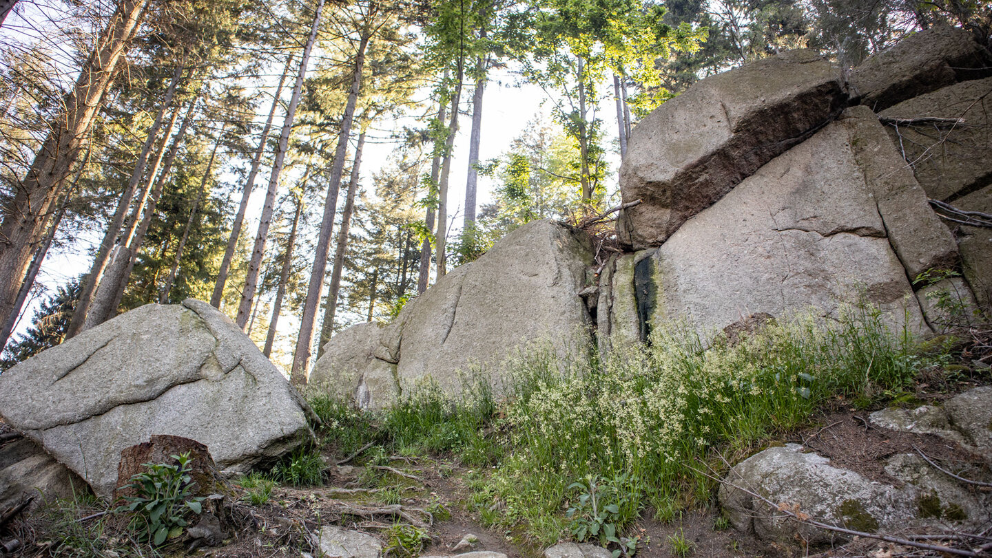 der Ottenhöfener Felsenweg am Palmfelsen