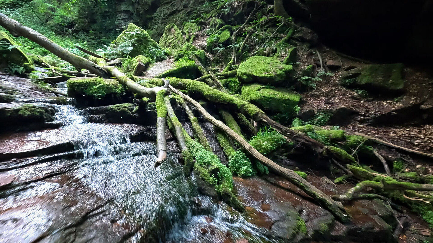 sanfte Kaskaden des Schlossbächleins in der Wolfsschlucht bei Zwingenberg askaden des Schlossbächleins in der Wolfsschlucht bei Zwingenberg