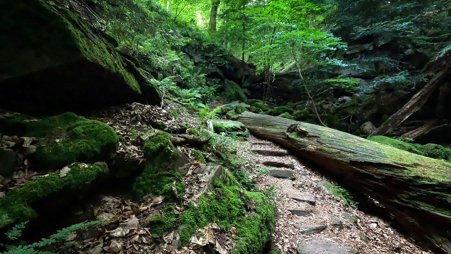 Wanderweg durch die Wolfsschlucht im Naturpark Neckartal-Odenwald Wanderweg durch die Wolfsschlucht im Naturpark Neckartal-Odenwald