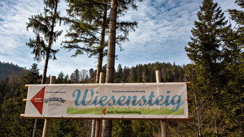 Toureneinstieg zum Wiesensteig am Weiherplatz