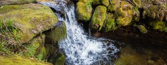 Kaskade am Bachlauf der Wilden Rench