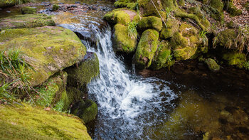 Kaskade am Bachlauf der Wilden Rench