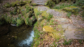 der Wanderweg quert die Wilde Rench über Steinbrücken