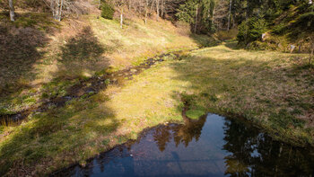 Weiher im Tal der Wilden Rench