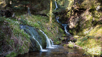 Wasserfälle des Schöngrundbächel und Troglochbachs