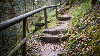 der Wiesensteig führt über Treppen zur Fischfelsenhütte