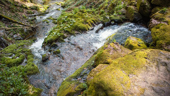 Buntsandsteinböcke am Bachlauf der Wilden Rench