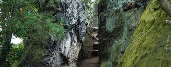 an der Teufelsmauer schlängelt sich der Weg durch die Felsen