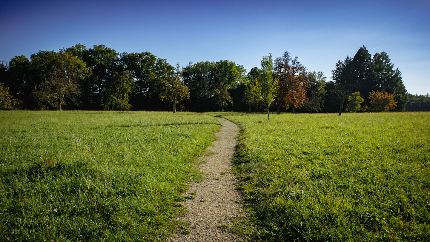 Wanderweg über Streuobstwiesen zur Burg Hausen
