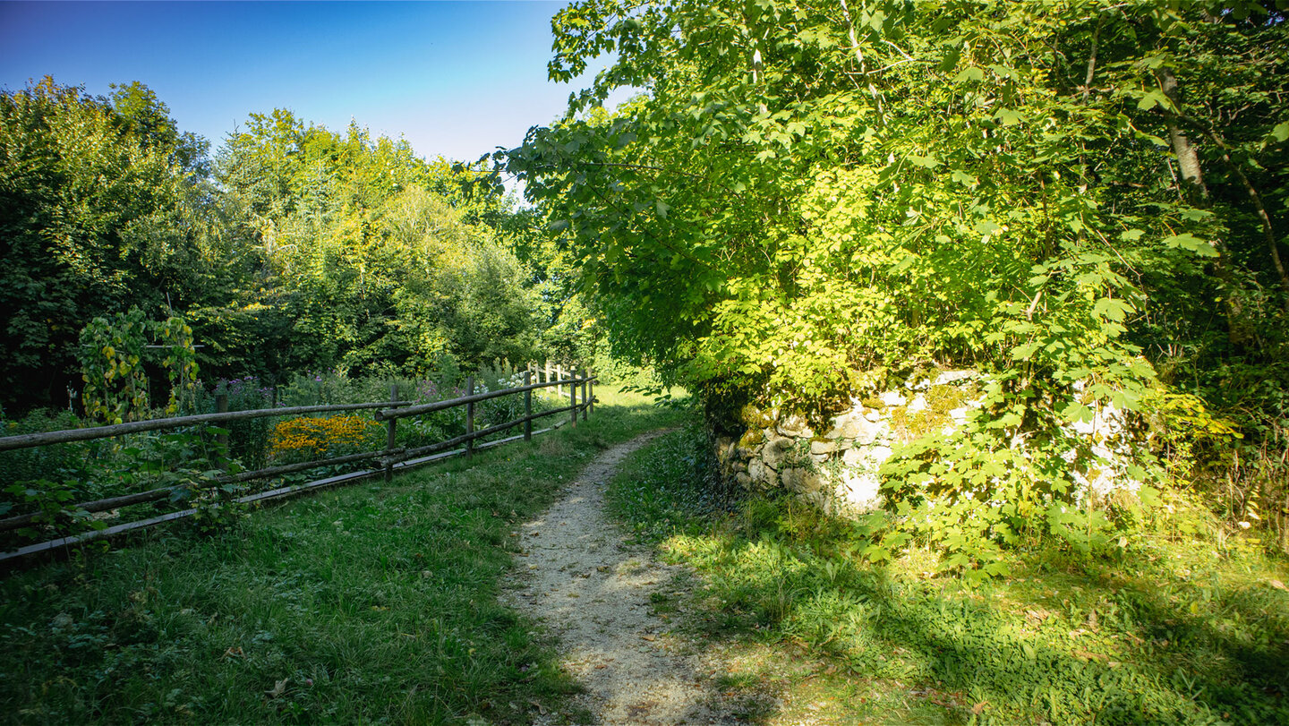 Wanderpfad durch den Schlossgarten von Schloss Hausen