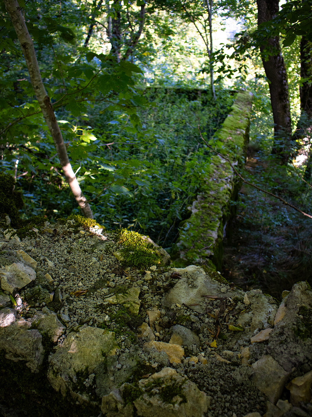 Mauerreste der Ruine Hausen