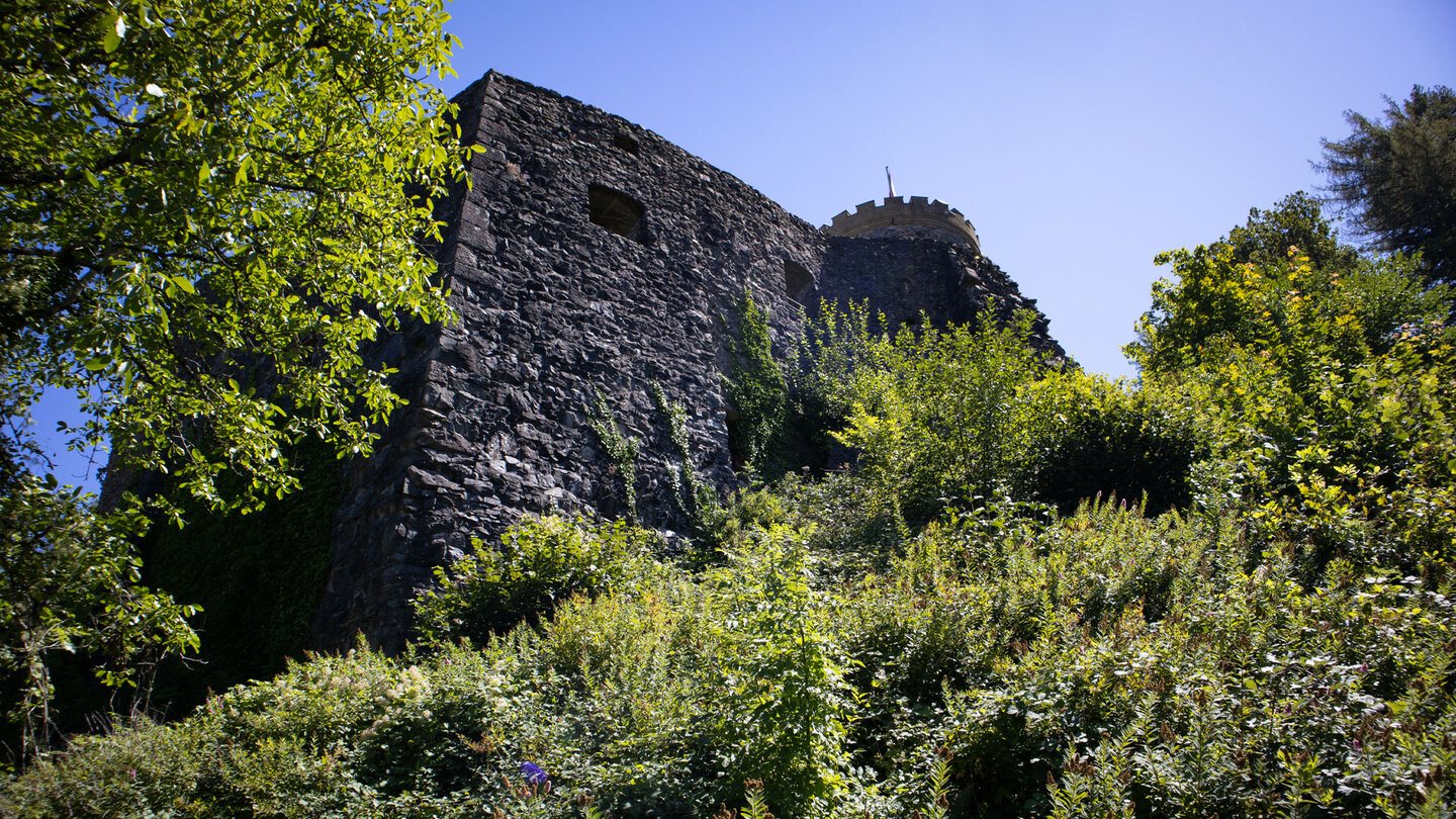 Blick hinauf zur Burg Husen über Hausach