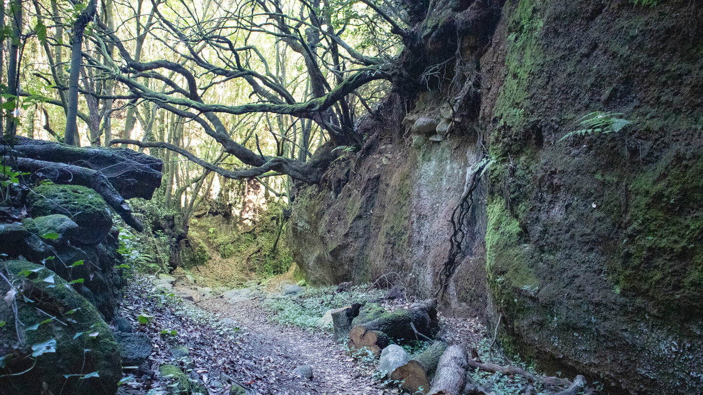 Wanderroute durch die Magdalena-Schlucht