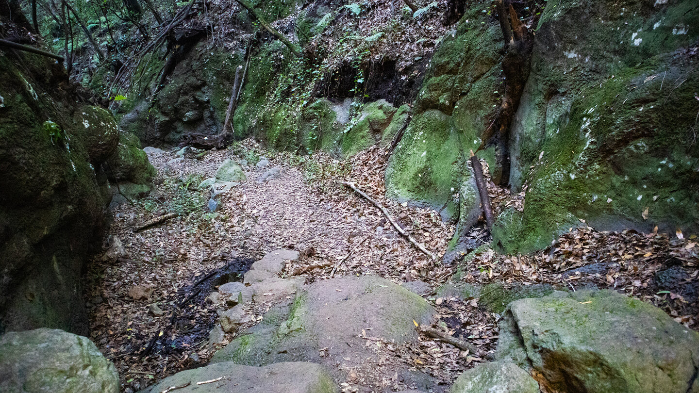 Wanderweg im Bachbett des Barranco Magdalena