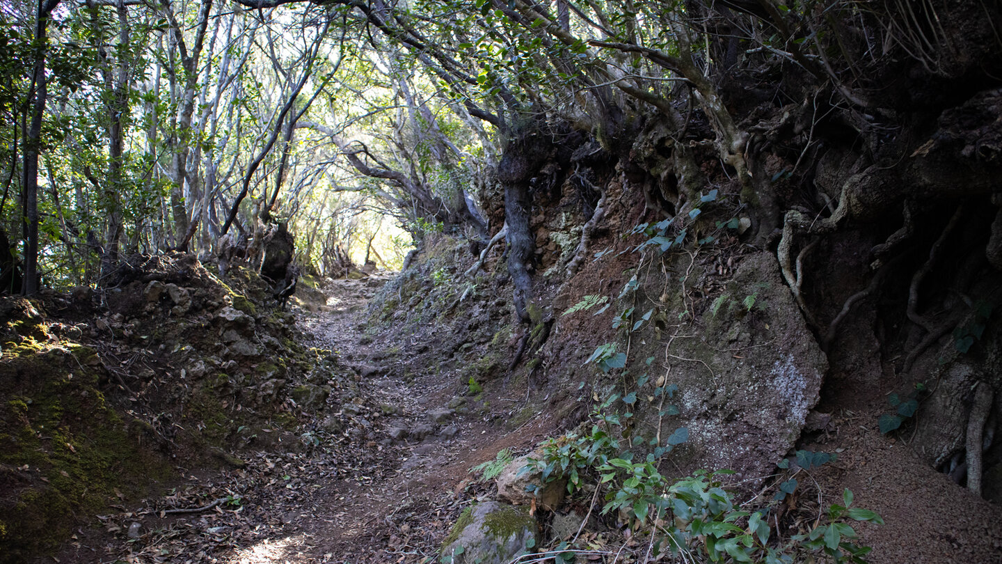 Wanderweg nach La Zarza