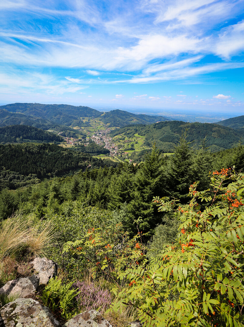 Ausblick vom Karlsruher Grat über den Nordschwarzwald
