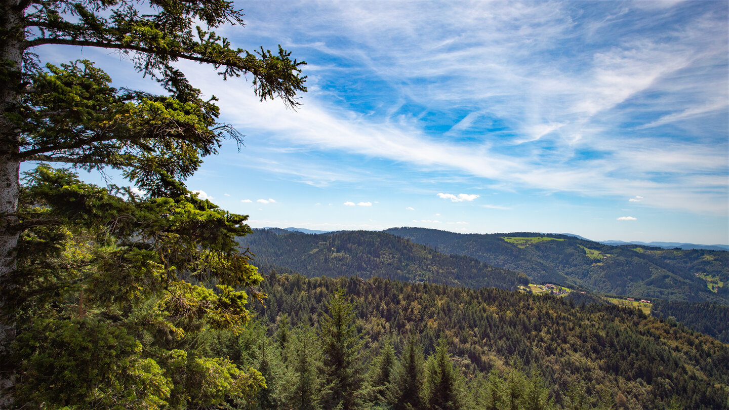 Bewaldete Hügel des Nordschwarzwald