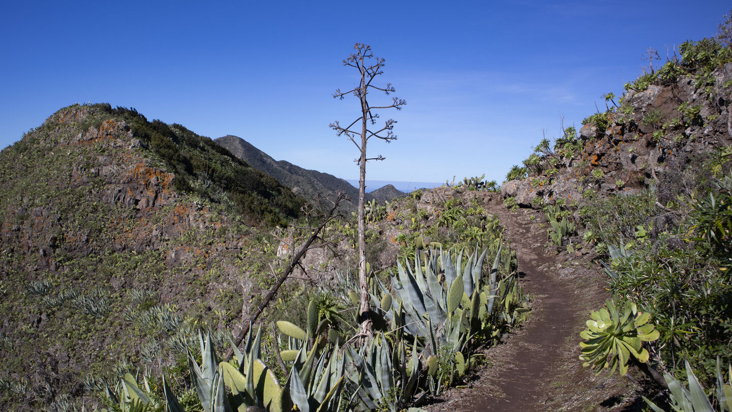 malerischer Wanderpfad entlang der Cumbre de Bolico