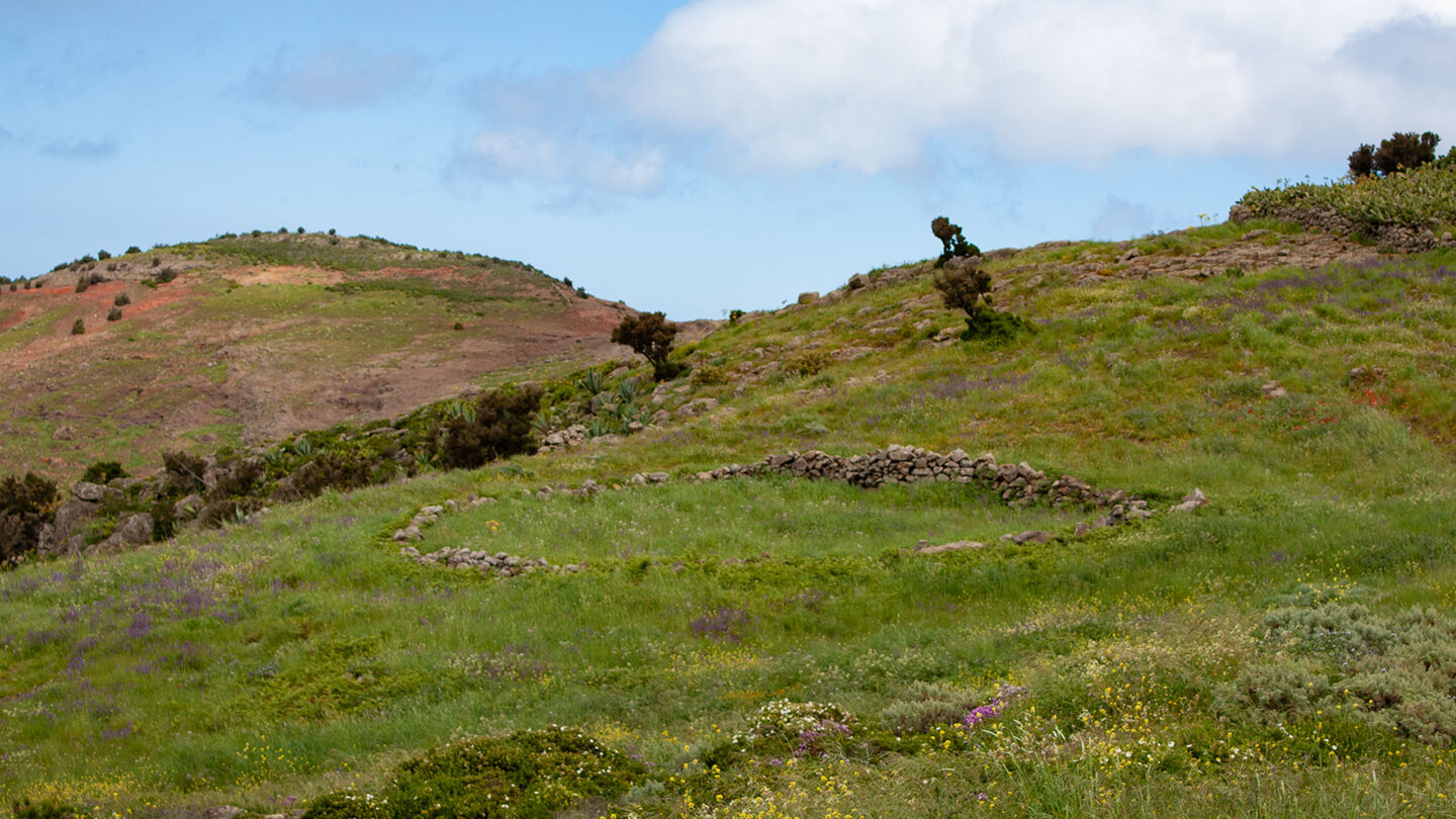 gemauerter Ziegenpferch auf dem Plateau Teno Alto