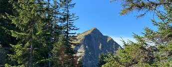 Blick auf das Walmendinger