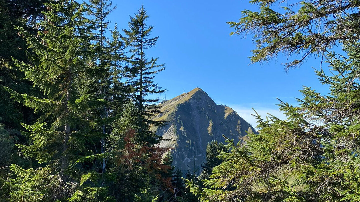 Blick auf das Walmendinger vom Wanderweg Blick auf das Walmendinger