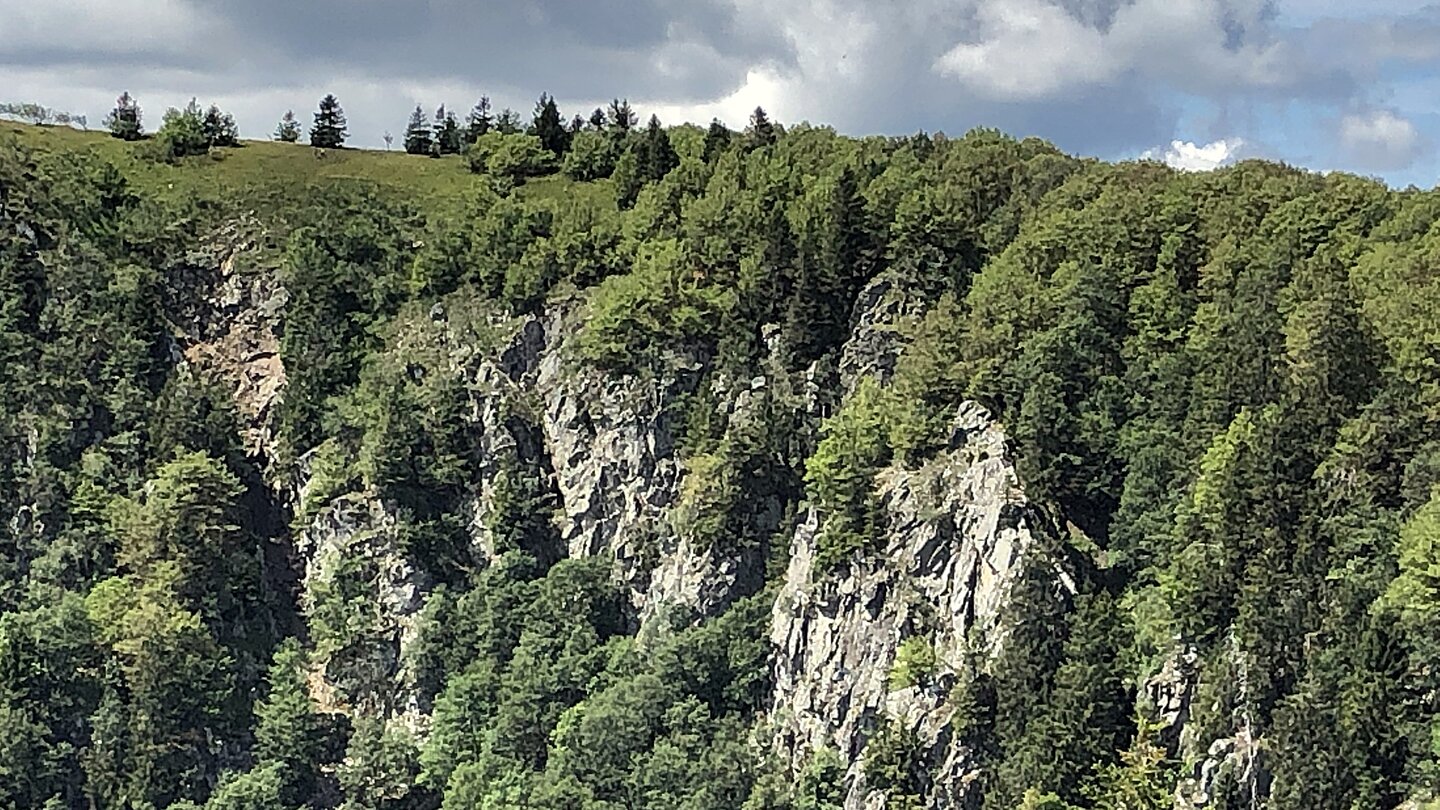Ausblick auf die Martinswand Blick auf die Martinswand
