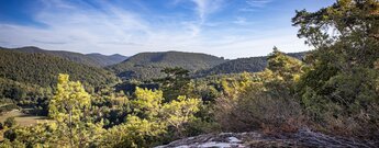 Fernsicht vom Hockerstein – Buntsandstein und endloses Grün im Pfälzerwald.
