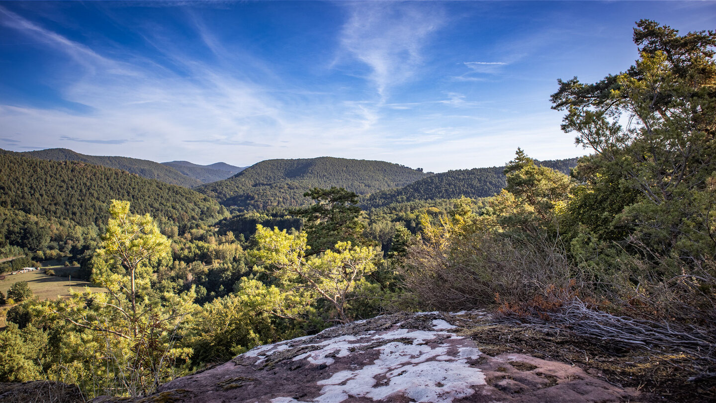 Fernsicht vom Hockerstein – Buntsandstein und endloses Grün im Pfälzerwald.
