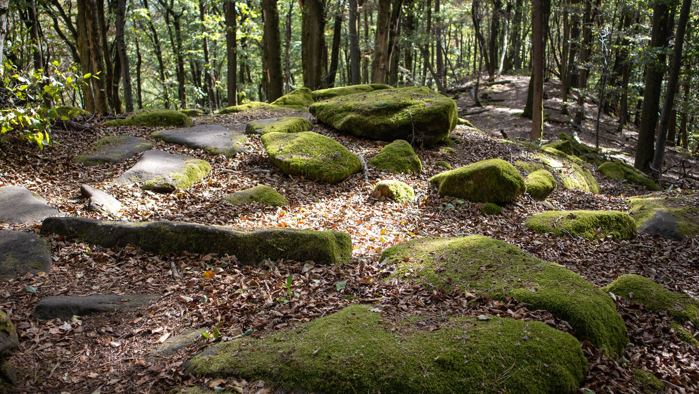 Felsblöcke säumen den Waldpfad auf dem Rimbach-Steig.