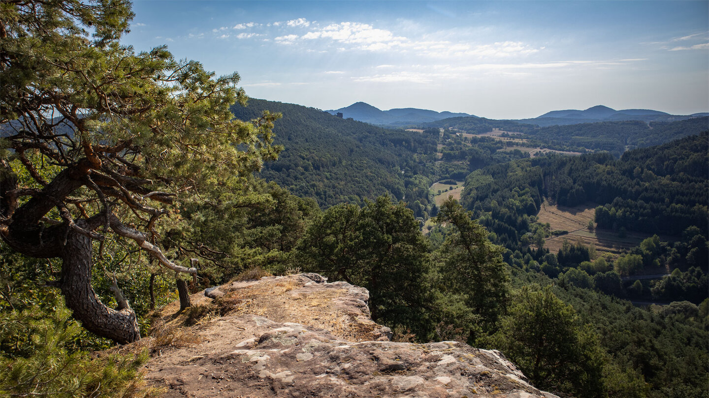 Vom Felsplateau am Nesselberg reicht der Blick bis zu den Geiersteinen.