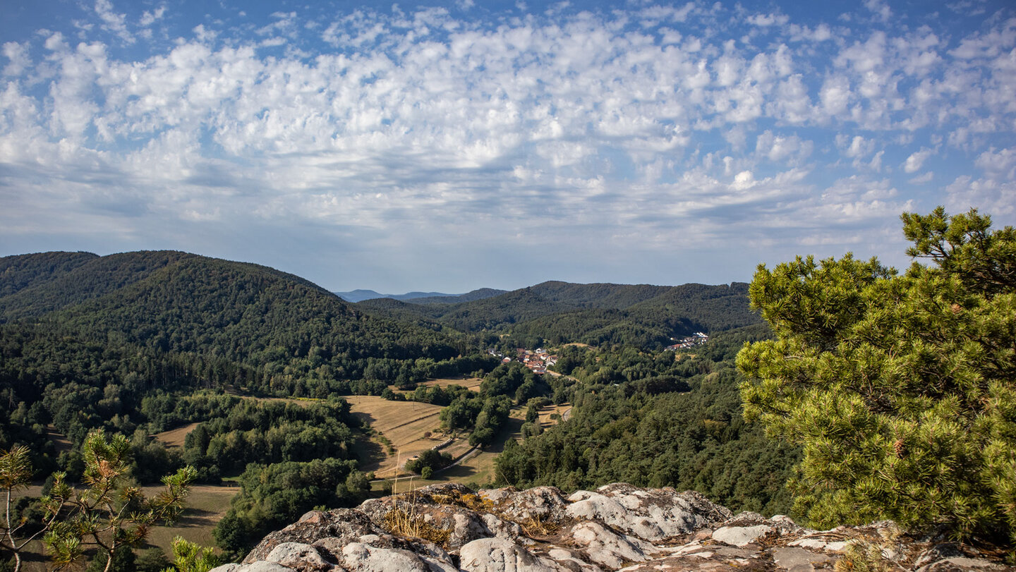 Weitblick vom Nesselberg: Felder, Wälder und die Dörfer Schwanheim und Dimbach tief im Tal.