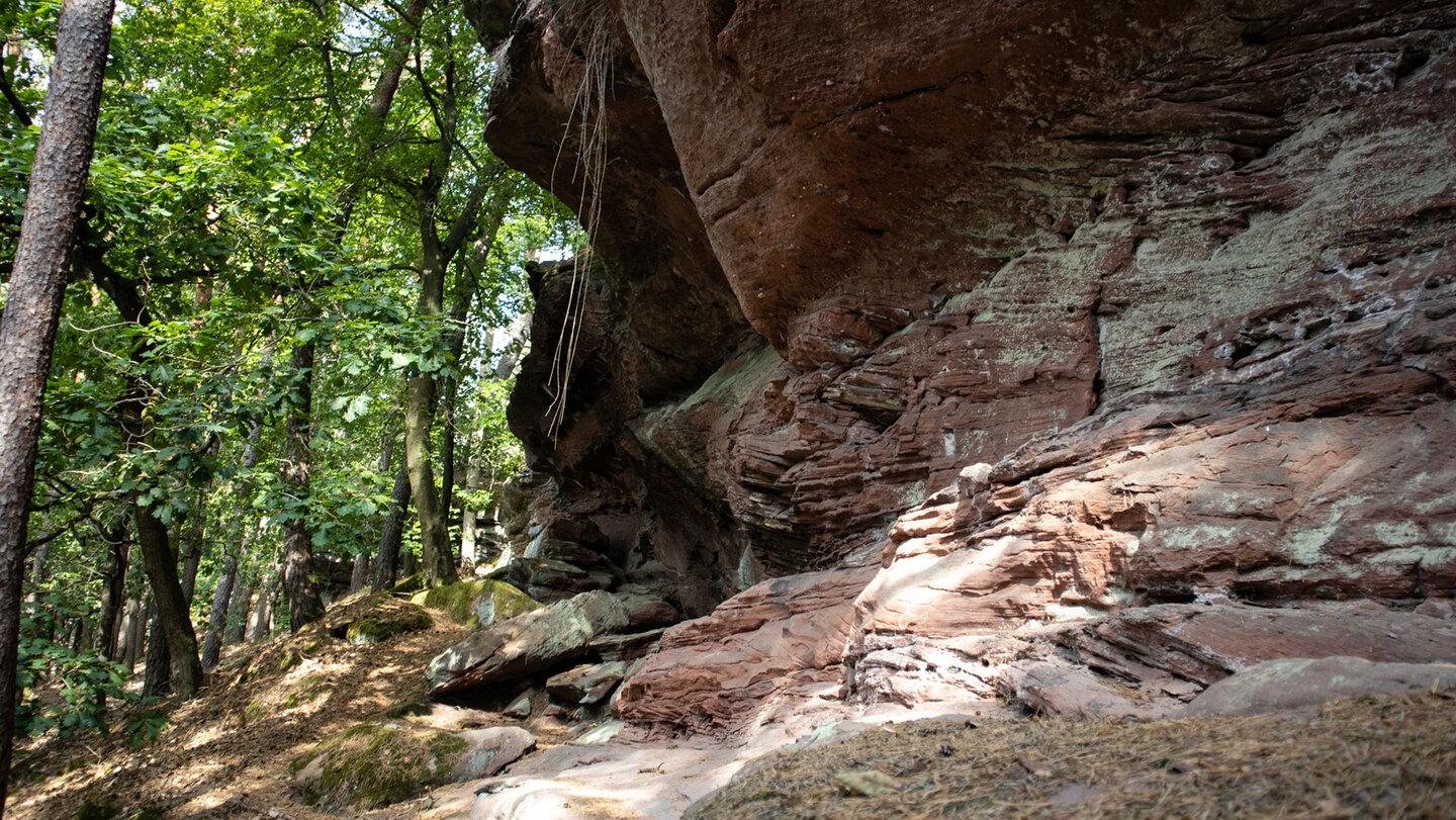 Sandstein und schattiger Waldpfad am Nesselbergfelsen.
